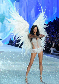 Proibida de usar asas de anjo em desfile de moda